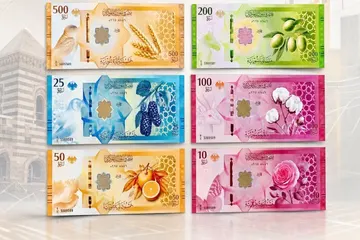 Local and Global Factors Affecting the Syrian Pound Exchange Rate