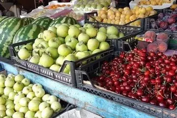 Cost of Basic Goods in Syria Rises 10% in 3 Months, Driven by Lira's Decline